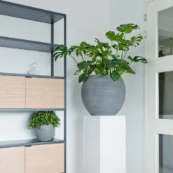 Abby Ball Plant Pot - Ridged Dark Grey -Plant potted plants AbbyBallPlantPot RidgedDarkGrey