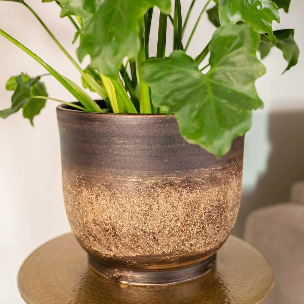 Aico Plant Pot - Shiny Brown 11 Aico Plant Pot - Shiny Brown - Image 9