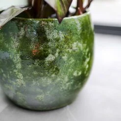 Aimee Plant Pot - Pear -Plant potted plants Aimee Plant Pot Pear Banana Plant