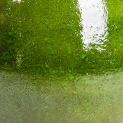 Aimee Plant Pot - Pear -Plant potted plants Aimee Plant Pot Pear SWATCH2