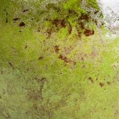 Aimee Plant Pot - Pear -Plant potted plants Aimee Plant Pot Pear SWATCH3