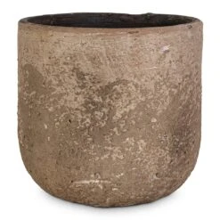 Albero Plant Pot - Cement 16 Albero Plant Pot - Cement -Plant potted plants Albero Plant Pot Cement 16x14cm c1509482 b7a3 4670 8e6e 570ba6012564