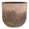 Albero Plant Pot - Cement -Plant potted plants Albero Plant Pot Cement 21x19cm d9df809e 0a39 443d a762 18a879a45e12