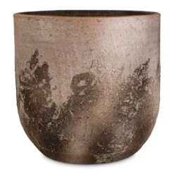 Albero Plant Pot - Cement 19 Albero Plant Pot - Cement -Plant potted plants Albero Plant Pot Cement 28x26cm 28706681 8e92 439f a7a0 1542d380a061