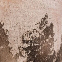 Albero Plant Pot - Cement 23 Albero Plant Pot - Cement -Plant potted plants Albero Plant Pot Cement DETAIL