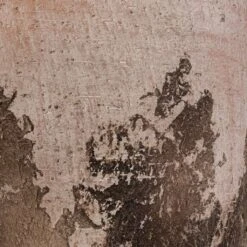 Albero Plant Pot - Cement 22 Albero Plant Pot - Cement -Plant potted plants Albero Plant Pot Cement DETAIL d465160c 8621 4f6c 825c 263e6430a47d