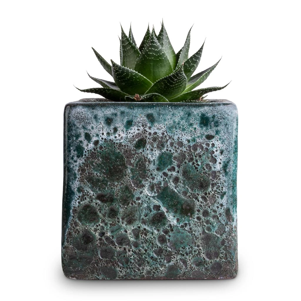 Lava Cube Relic Planter - Jade 4 Lava Cube Relic Planter - Jade - Image 2