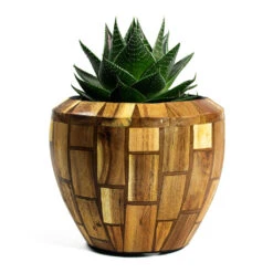 Facets Couple Planter - Jenga -Plant potted plants Aloe aristata Cosmo Facets Couple Planter Jenga