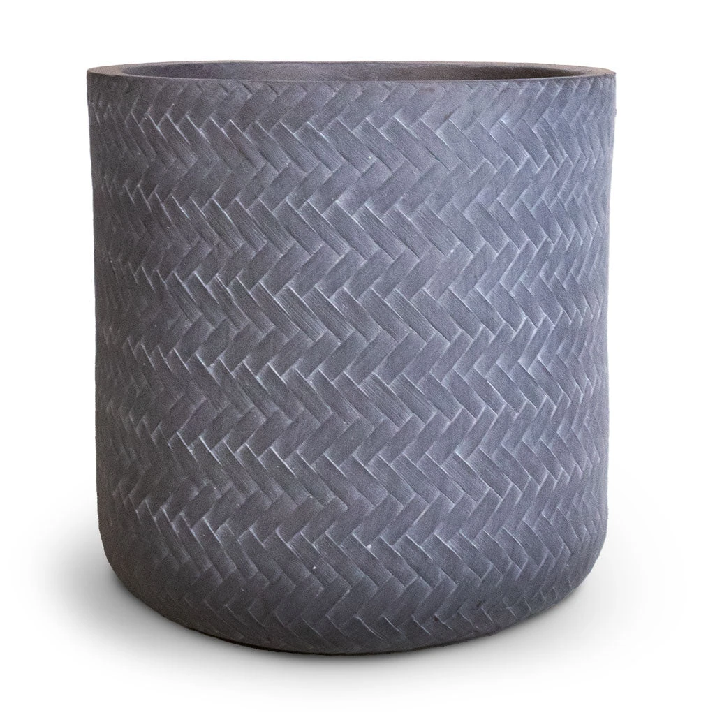 Angle Cylinder Plant Pot - Grey 6 Angle Cylinder Plant Pot - Grey - Image 4