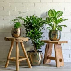 Kian Metal Plant Pots - Set Of 3 - Large - Sky Burn -Plant potted plants Asparagus setaceus Lace Fern Dracaena fragrans Compacta Branched Aglaonema Diamond Bay Chinese Evergreen Kian Metal Plant Pots Set of 3 large Sky Burn