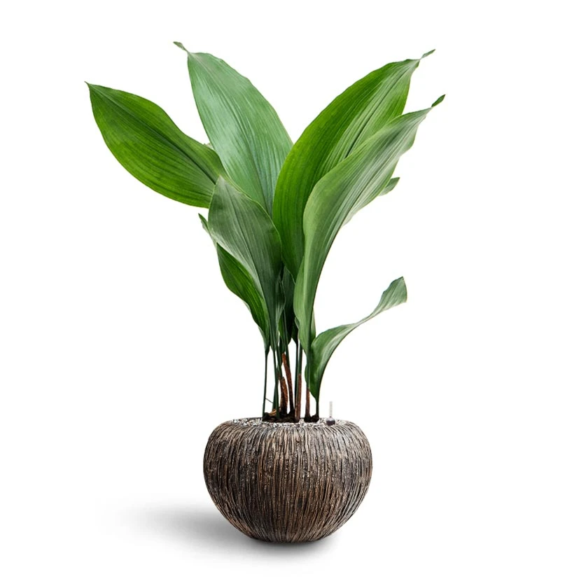 Luxe Lite Waterfall Globe Planter - Bronze 13 Luxe Lite Waterfall Globe Planter - Bronze - Image 11