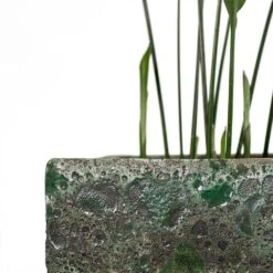 Lava Cube Relic Planter - Jade 26 Lava Cube Relic Planter - Jade -Plant potted plants Aspidistra Cast Iron Plant Lava Cube Relic Planter Jade Close Up