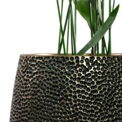 Opus Hit Darcy Planter - Gold 32 Opus Hit Darcy Planter - Gold -Plant potted plants Aspidistra Cast Iron Plant Opus Hit Darcy Planter Gold Close Up