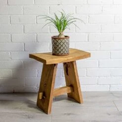 Beaucarnea - Pony Tail Palm - Orb -Plant potted plants Beaucarnea Pony Tail Palm Orb liam grey plant pot natural 75c4d917 b2bf 49b7 be25 2fc18a3f2ba9