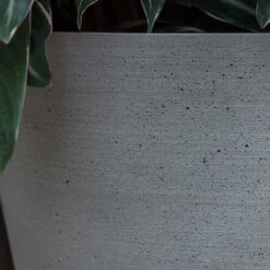Bucket Refined Planter - Clouded Grey -Plant potted plants Bucket Refined Planter Clouded Grey Textured Sandstone