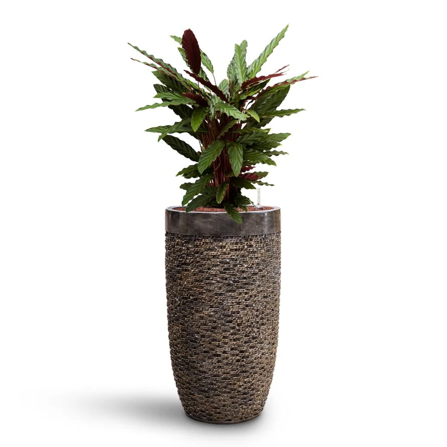 Luxe Lite Layer Partner Planter - Bronze 8 Luxe Lite Layer Partner Planter - Bronze - Image 6