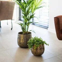 Calvin Metal Plant Pots - Set Of 3 - Matt Gold -Plant potted plants Calvin Metal Plant Pots Set of 3 Matt Gold 3