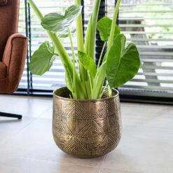 Calvin Metal Plant Pots - Set Of 3 - Matt Gold -Plant potted plants Calvin Metal Plant Pots Set of 3 Matt Gold 4