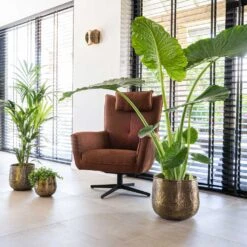 Calvin Metal Plant Pots - Set Of 3 - Matt Gold -Plant potted plants Calvin Metal Plant Pots Set of 3 Matt Gold 6