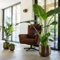 Calvin Metal Plant Pots - Set Of 3 - Matt Gold -Plant potted plants Calvin Metal Plant Pots Set of 3 Matt Gold 7