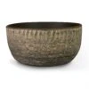 Cas Plant Bowl - Sahara -Plant potted plants Cas Plant Bowl Sahara 28x13cm