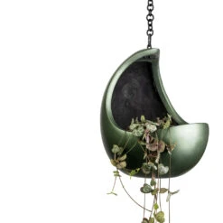 Gradient Hanging Cocoon - Matt Forest -Plant potted plants Ceropegia woodii String of Hearts 11x20cm Gradient Hanging Cocoon Matt Forest 20x24cm