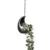 Ceropegia Woodii - String Of Hearts -Plant potted plants Ceropegia woodii String of Hearts 14x30cm Gradient Hanging Cocoon Matt Grey 20x24cm 2
