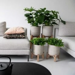 Charlie Plant Pot - Low Stand - Grey Washed -Plant potted plants Charlie Plant Pot Tall Stand Grey Washed Lifestyle 02 9225be9f 92ff 40ce 8bec 1627a363928b