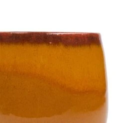 Charlotte Plant Pot - Spiced Ochre -Plant potted plants Charlotte Plant Pot Ochre 15x13cm Swatch