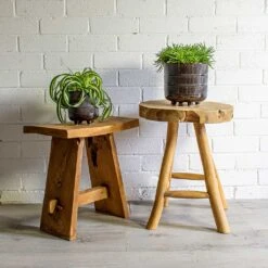 Senecio Himalaya - Himalaya Groundsel 26 Senecio Himalaya - Himalaya Groundsel -Plant potted plants Chlorophytum Bonnie Curly Spider Plant Senecio Himalaya Himalaya Groundsel Denise Plant Pot Blue Bronze deff1630 c6f8 4ee2 baf3 32fc8f3696f7