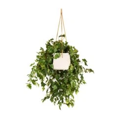Patt Hanging Plant Pot - Grey Washed 25 Patt Hanging Plant Pot - Grey Washed -Plant potted plants Cissus rhombifolia Ellen Dancia Grape Ivy 17x40cm Patt Hanging Plant Pot Grey Washed 20x17cm 6f30a8cf 7145 4f62 8638 c015203b702d