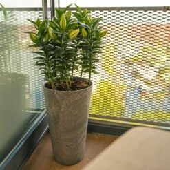 Claire Artstone Tall Planter - Grey 10 Claire Artstone Tall Planter - Grey -Plant potted plants Claire Artstone Tall Planter Grey 4