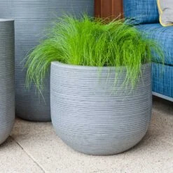 Cody Plant Pot - Ridged Dark Grey -Plant potted plants Cody Plant Pot Ridged Dark Grey Houseplant