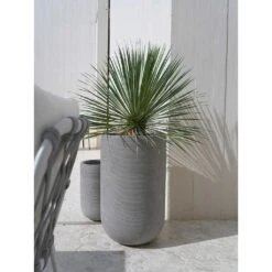 Cody Plant Vase - Ridged Dark Grey -Plant potted plants Cody Tall Planter Ridged Dark Outdoor Palm