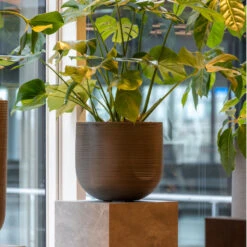 Cody Plant Pot - Ridged Dark Grey -Plant potted plants CodyPlantPot RidgedDarkGrey 6