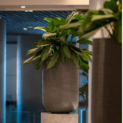 Cody Plant Vase - Ridged Dark Grey -Plant potted plants CodyPlantVase RidgedDarkGrey 6