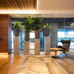 Cody Plant Vase - Ridged Dark Grey -Plant potted plants CodyPlantVase RidgedDarkGrey 9