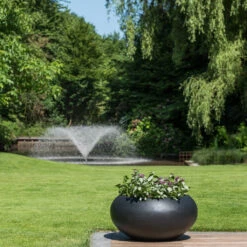 Cora Natural Bowl Planter - Black -Plant potted plants CoraNaturalBowlPlanter Black 2