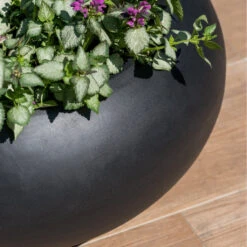 Cora Natural Bowl Planter - Black -Plant potted plants CoraNaturalBowlPlanter Black 4