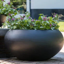 Cora Natural Bowl Planter - Black -Plant potted plants CoraNaturalBowlPlanter Black 5
