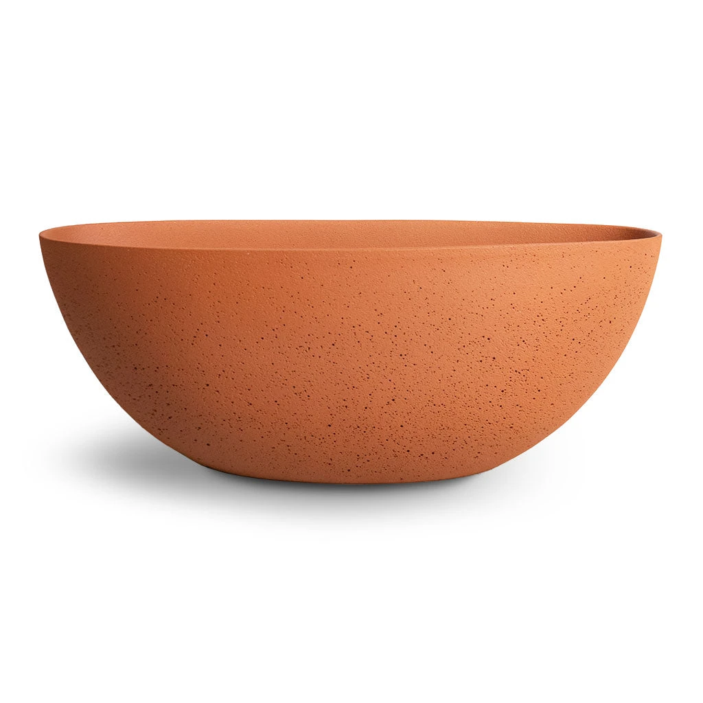 Dorant Refined Oval Plant Bowl - Canyon Orange 5 Dorant Refined Oval Plant Bowl - Canyon Orange - Image 3
