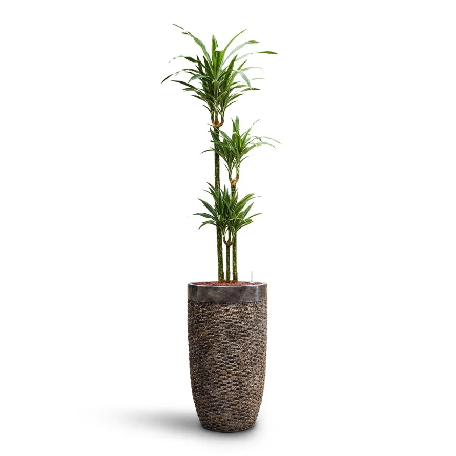 Luxe Lite Layer Partner Planter - Bronze 9 Luxe Lite Layer Partner Planter - Bronze - Image 7