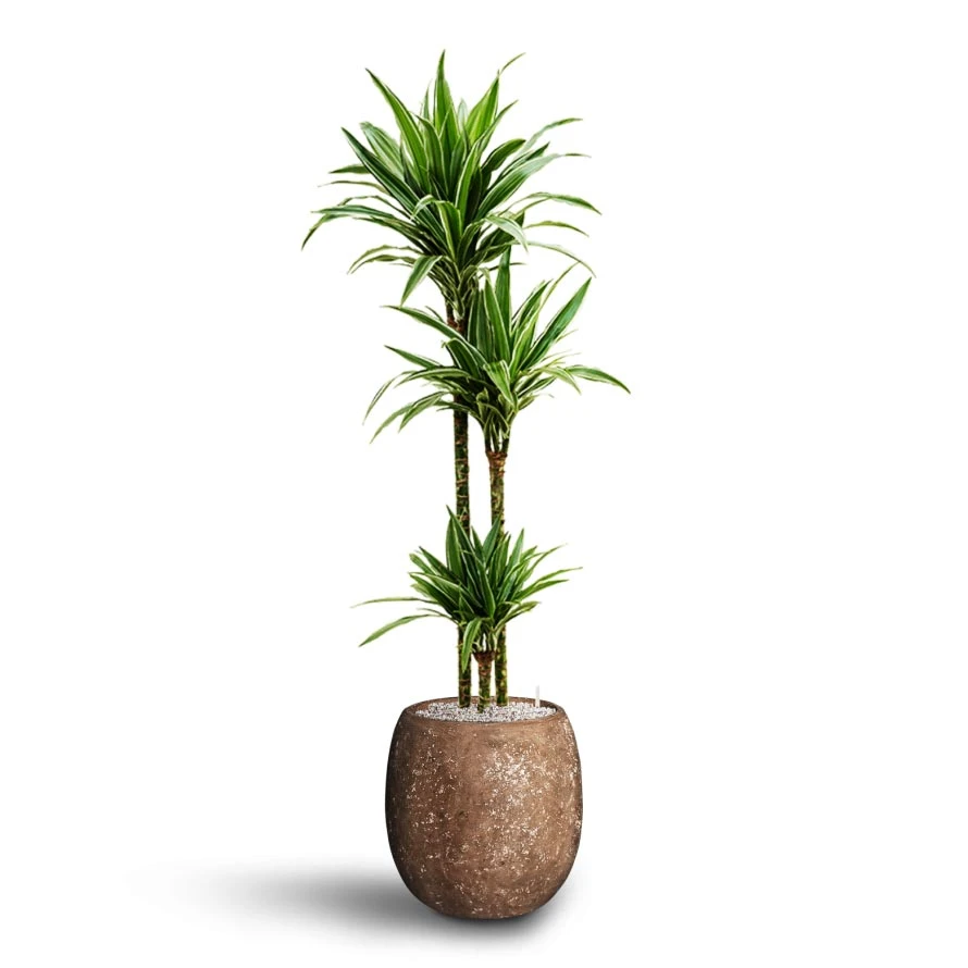 Polystone Coated Plain Balloon Planter - Rock 7 Polystone Coated Plain Balloon Planter - Rock - Image 5