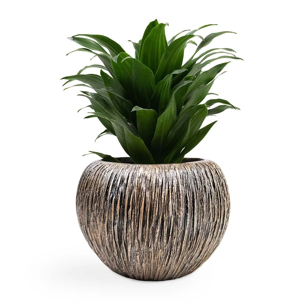 Luxe Lite Waterfall Globe Planter - Bronze 5 Luxe Lite Waterfall Globe Planter - Bronze - Image 3