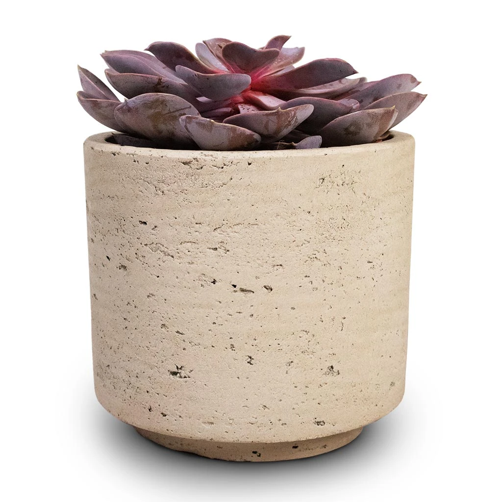 Novi Plant Pot - Grey Washed 10 Novi Plant Pot - Grey Washed - Image 8
