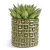 Echeveria Agavoides Miranda -Plant potted plants Echeveria agavoides Miranda 12x15cm Fiene Plant Pot Green 14x14cm