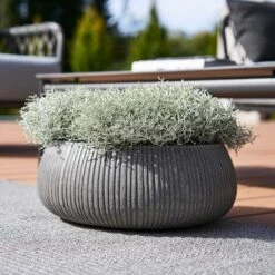 Eileen Plant Bowl - Ridged Dark Grey -Plant potted plants Eileen Planter Ridged Dark Grey Outdoor