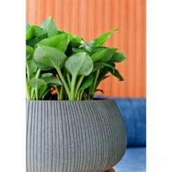 Eileen Plant Bowl - Ridged Dark Grey -Plant potted plants Eileen Planter Ridged Dark Grey Texture