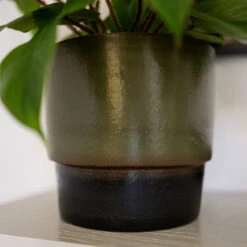 Erik Plant Pot - Dark Olive 18 Erik Plant Pot - Dark Olive -Plant potted plants Erik Olive 4