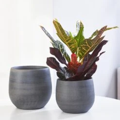 Esra Plant Pot - Graphite -Plant potted plants Esra graphite Lifestyle 1